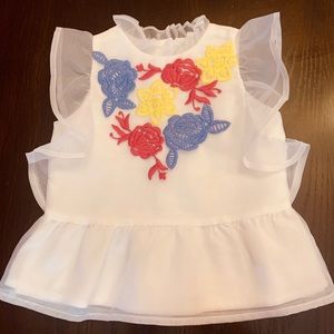 Janie and Jack embroidery top